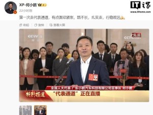 何小鹏预测：中国新能源车企未来十年大洗牌，仅剩七家以内？