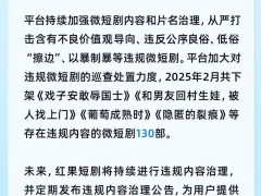 紅果平臺重拳出擊，2月違規短劇下架量達130部