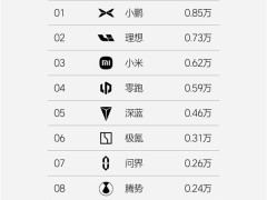 2025年新勢力單周銷量揭曉：小鵬領跑，理想、小米緊隨其后