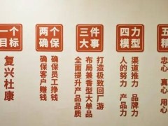 杜康酒业下沉战略启航，“冰柜+宴席”能否撬开全国化之门？