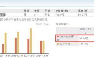 蔚蓝锂芯2024年业绩大增，澳籍董事长薪酬下调，未来发展如何？