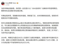 特斯拉2024年远程诊断服务超250万人次，高效便捷引领汽车维修新风尚