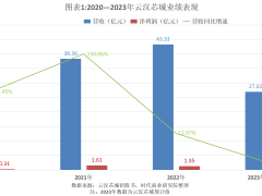 云汉芯城IPO之路坎坷：大客户流失严重，年均超万户客户告别