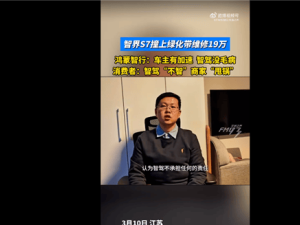 智界S7自动驾驶突转弯撞绿化带，19万维修费谁担？官方：车主曾加速