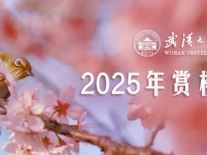 武大櫻花季預約開啟，2025年賞櫻攻略來啦！