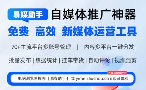 视频号与矩阵账号管理：高效解决方案与平台概览