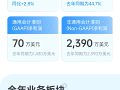 迅雷2024財報：全年營收3.24億美金，Q4會員數突破638萬再創新高