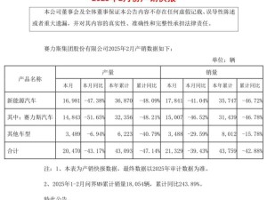 賽力斯2月銷量下滑近四成，問界M9成亮點累計同比大增243.89%