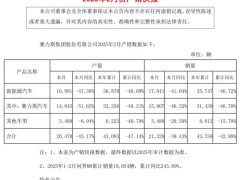 赛力斯2月销量下滑近四成，问界M9成亮点累计同比大增243.89%