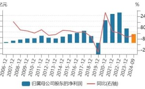 汉威科技：人形机器人电子皮肤赛道的新星，还是泡沫？