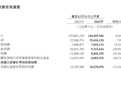 理想汽车2024年财报揭晓：全年净利80亿，市占率攀升但利润下滑三成