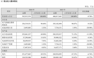 宁德时代2024年净利润增15%，营收下滑近10%，理财计划曝光