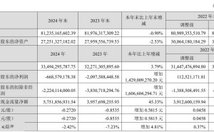 天马微电子2024年净亏损6.69亿，同比大幅减亏超14亿，业绩回暖