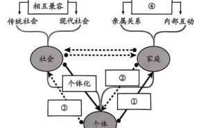 年轻人“断亲”现象：社交新趋势还是文化变迁？