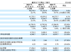 理想汽车：规模扩张下的利润挑战与纯电转型关键战