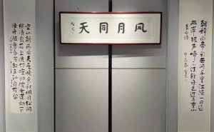 定山书派第二届交流展：禅意书法，南京古玩城绽放新风采