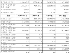 华润新能源深交所上市在即，募资245亿，9月营收近172亿表现强劲