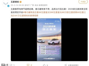 五菱繽果2025款上線預(yù)訂，新配色懷擋設(shè)計來襲，你心動了嗎？