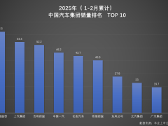 比亚迪1-2月汽车市场双料冠军，实力演绎新能源领跑新篇章