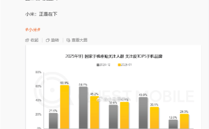 小米国补关注度登顶！王腾揭秘：高性价比与线上线下同价策略立功