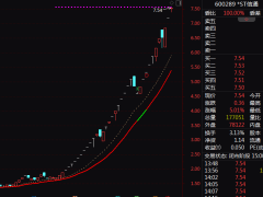 A股奇景：*ST信通37天33涨停，林业地产板块抢眼！