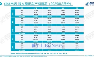 2025年2月乘用车市场火爆，轿车零售量同比大增三成！