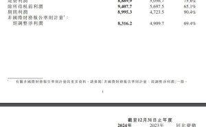 小米2024财报亮眼：全年净赚272亿，雷军日赚超千万引关注