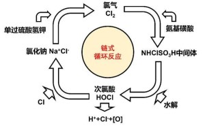 宠物消毒首选？杜邦卫可VKE深度解析与真假辨别指南