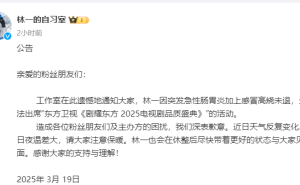 林一缺席电视剧品质盛典，急性肠胃炎加高烧成遗憾