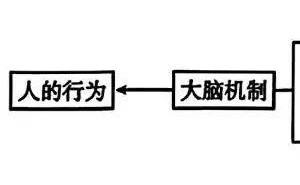 探索大脑机制：为何我们难以放下手机？