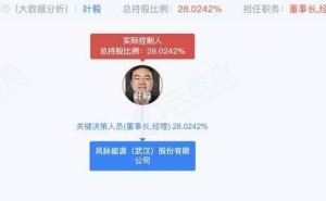 风脉能源冲刺IPO：叶毅博士掌舵，控股28%引领新能源征程