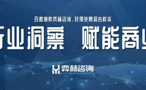 2025全球视频流市场展望：技术革新与区域机遇引领新增长