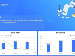 宁德时代2024年净利润增15%背后 上市以来营收首降