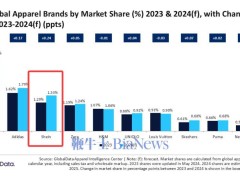 2024全球服裝市場風云：Shein領跑，奢侈品牌命運各異