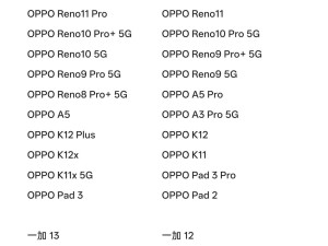 OPPO ColorOS大升級(jí)！50余款機(jī)型解鎖DeepSeek聯(lián)網(wǎng)識(shí)圖新技能