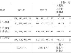 世茂能源2024年营收净利润双降 拟10派2元