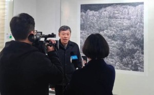 水墨邂逅都市，彭石画展演绎自然与现代的交融新篇章