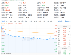 {闻泰科技“断臂”出售ODM，半导体业务能否撑起未来？）