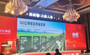 杨珂展望酒业未来：2034年人参酒市场规模或超200亿