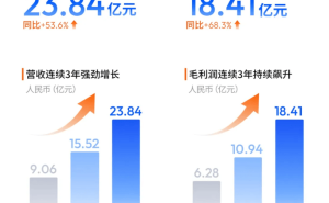 地平线财报揭秘：营收大涨五成，净亏损为何还扩大了？