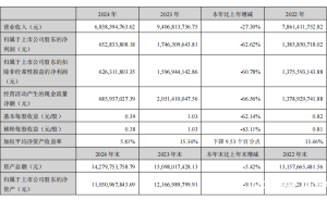 汤臣倍健2024业绩大跌，梁允超：今年将“以攻为首”寻突破