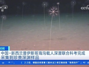 中國-新西蘭科考隊深海探險，75小時5潛創紀錄，發現眾多新物種