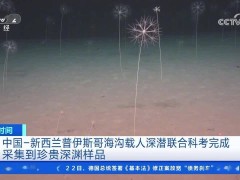 中國-新西蘭科考隊深海探險，75小時5潛創紀錄，發現眾多新物種