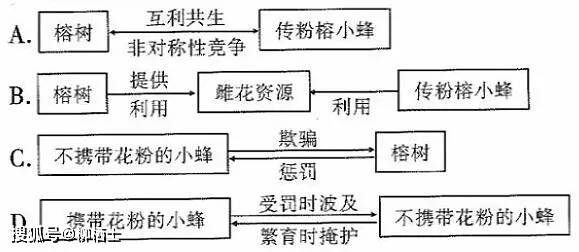 KeeTa市场策略示意图