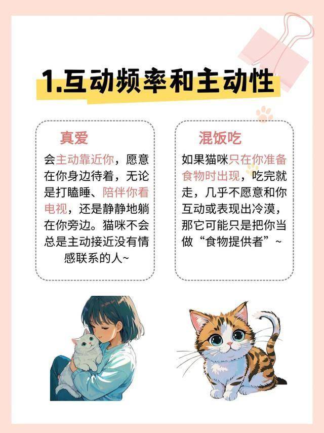 猫咪互动对比